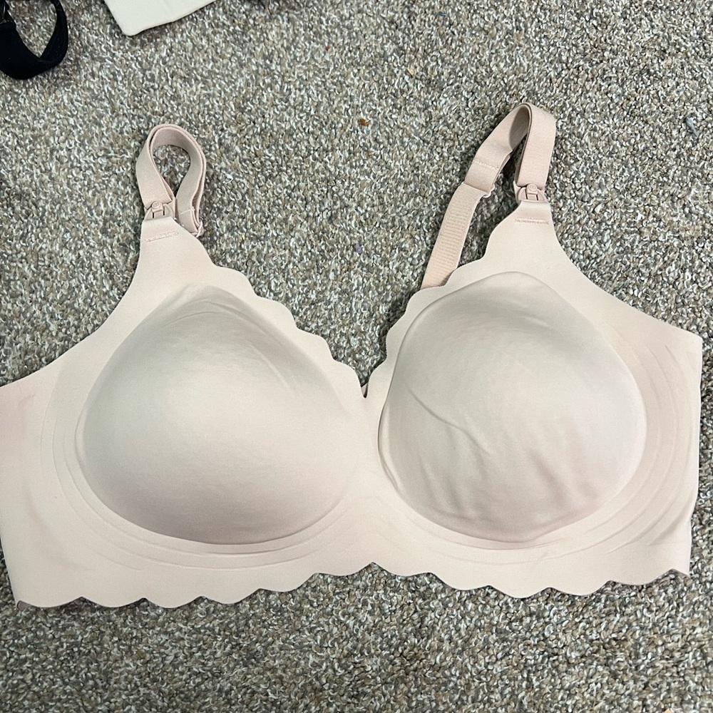 Seamless Scalloped Edge Bra - Cream